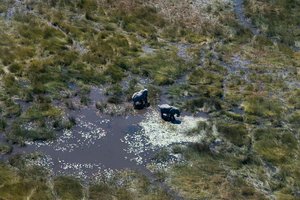 Vues aériennes du camp d